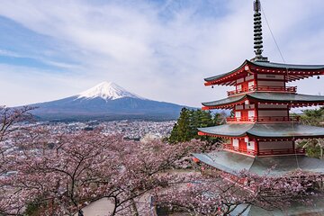 Mt Fuji Shared Tour from Tokyo with Multilingual Guide