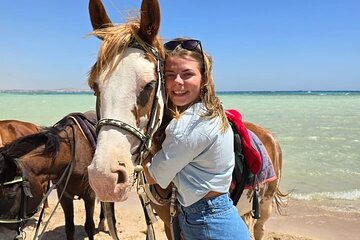Horse Riding Adventure On The Sea In Sharm El Sheikh 