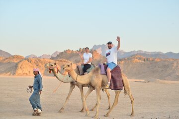 4x4 Safari Desert Experience Quad Buggy Camel and Stargazing