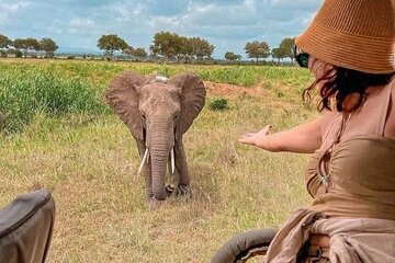 4 Days Short and Sweet Safari to Tarangire and Ngorongoro Wonders