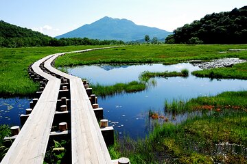 From Tokyo Oze National Park Day Hike with Overnight Bus