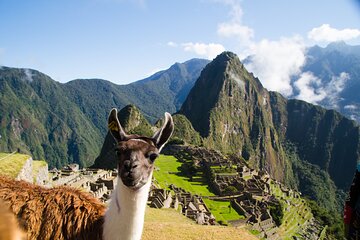 From Cusco: Day trip to Machu Picchu 