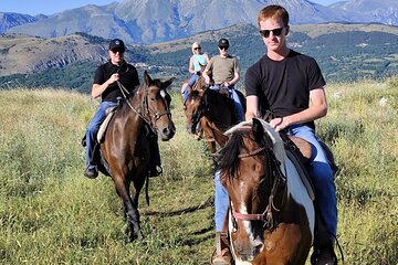 Horse Sanctuary & Trail Ride