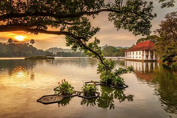 Kandy Private Day Tour from Colombo/Negombo