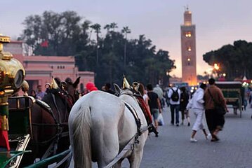 Marrakesh: One-hour trip to traditional horse-drawn carriage
