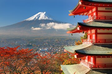 Mount Fuji Highlights Bus Tour with 6 Spots from Tokyo