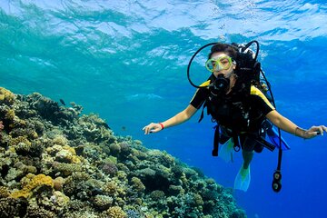 PADI Open Water Diving Course W/transfer -Marsa Alam
