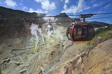 Mount Fuji & Hakone Private Tour English Guide By Luxury Vehicle