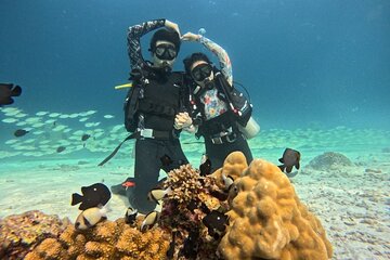 Phuket Dive Trip To Racha Island Experience & Relax Coral Island