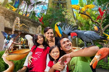 Bali Bird Park Admission Pass