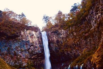 Private Nature and Culture Tour to Nikko 