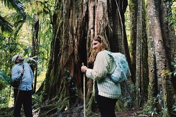 Tamblingan Jungle Trekking All-Inclusive: Hikes & Canoe Adventure
