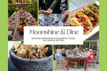 Mexican Moonshine & Flavorful Tacos in the jungle