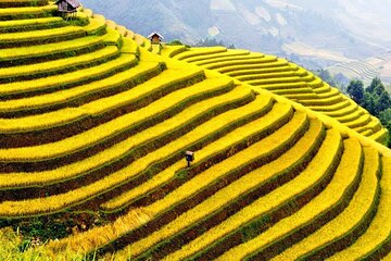 Hanoi to Ha Giang 3 Days Scenic Journey