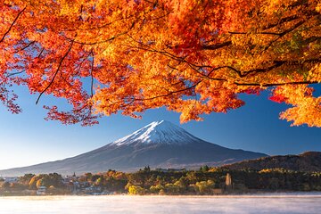 Discover Mt. Fuji 5th Station & Kawaguchiko Sightseeing Day Tour