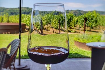Private Chianti wine tour