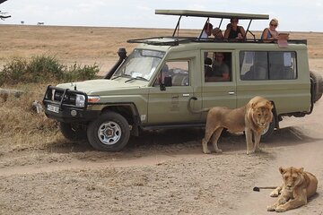  Masai Mara Transfer From Nairobi