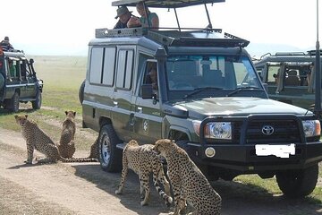 Masai Mara Transfer From Nairobi on 4x4 Toyota Land Cruiser