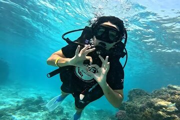 Hurghada Full-Day Scuba Diving & Snorkeling Adventure with Lunch 